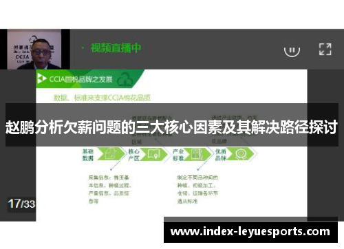 赵鹏分析欠薪问题的三大核心因素及其解决路径探讨