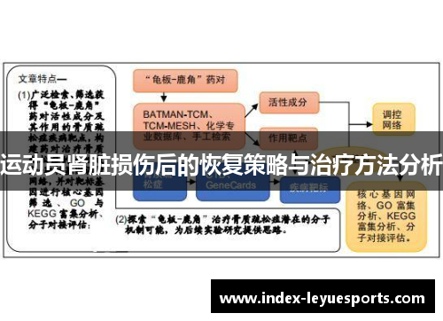 运动员肾脏损伤后的恢复策略与治疗方法分析 运动员肾脏损伤后的恢复策略与治疗方法分析