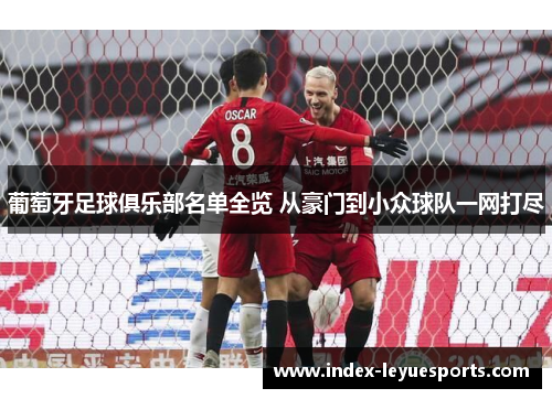 葡萄牙足球俱乐部名单全览 从豪门到小众球队一网打尽 葡萄牙足球俱乐部名单全览 从豪门到小众球队一网打尽