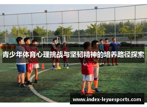 青少年体育心理挑战与坚韧精神的培养路径探索